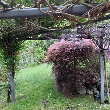 Vill'ariel Sport & Relax