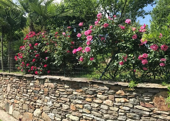 Vill'ariel Sport & Relax 펜션